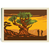 Bristlecone Pine - Canvas, Canvas