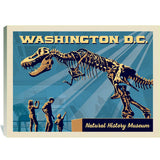 Washington, DC: Museum of Natural History - Canvas, Canvas