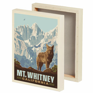Canvas Prints: Any Design