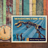 Washington, DC: Museum of Natural History - Canvas, Canvas / 9x12