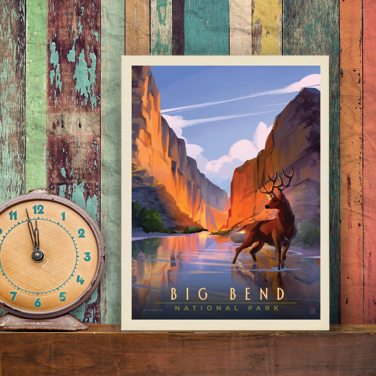 Big Bend National Park: Made In The Shade | Canvas Wall Art