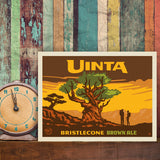 Bristlecone Pine (Pub Poster) - Canvas, Canvas / 9x12