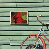 Pastel Painting: Redhead (Cardinal) - Metal Sign, Metal Sign / 9x12