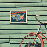 2024 Cicada Invasion Map - Metal Sign, Metal Sign / 9x12