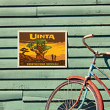 Bristlecone Pine (Pub Poster) - Metal Sign, Metal Sign / 12x16