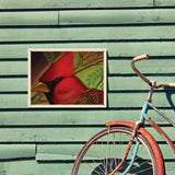 Pastel Painting: Redhead (Cardinal) - Metal Sign, Metal Sign / 12x16