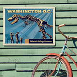 Washington, DC: Museum of Natural History - Metal Sign, Metal Sign / 18x24