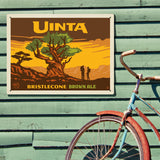 Bristlecone Pine (Pub Poster) - Metal Sign, Metal Sign / 18x24
