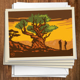 Bristlecone Pine - Notecards, Notecards