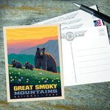 Great Smoky Mountains National Park: Romping Cubs - Postcards, Postcards