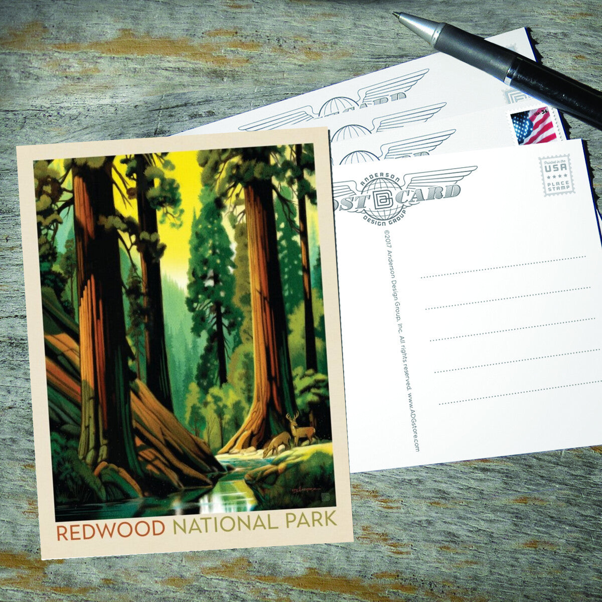 redwood-national-park-morning-hush - Postcards