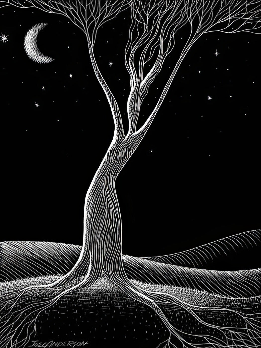 Artwork by Joel Anderson