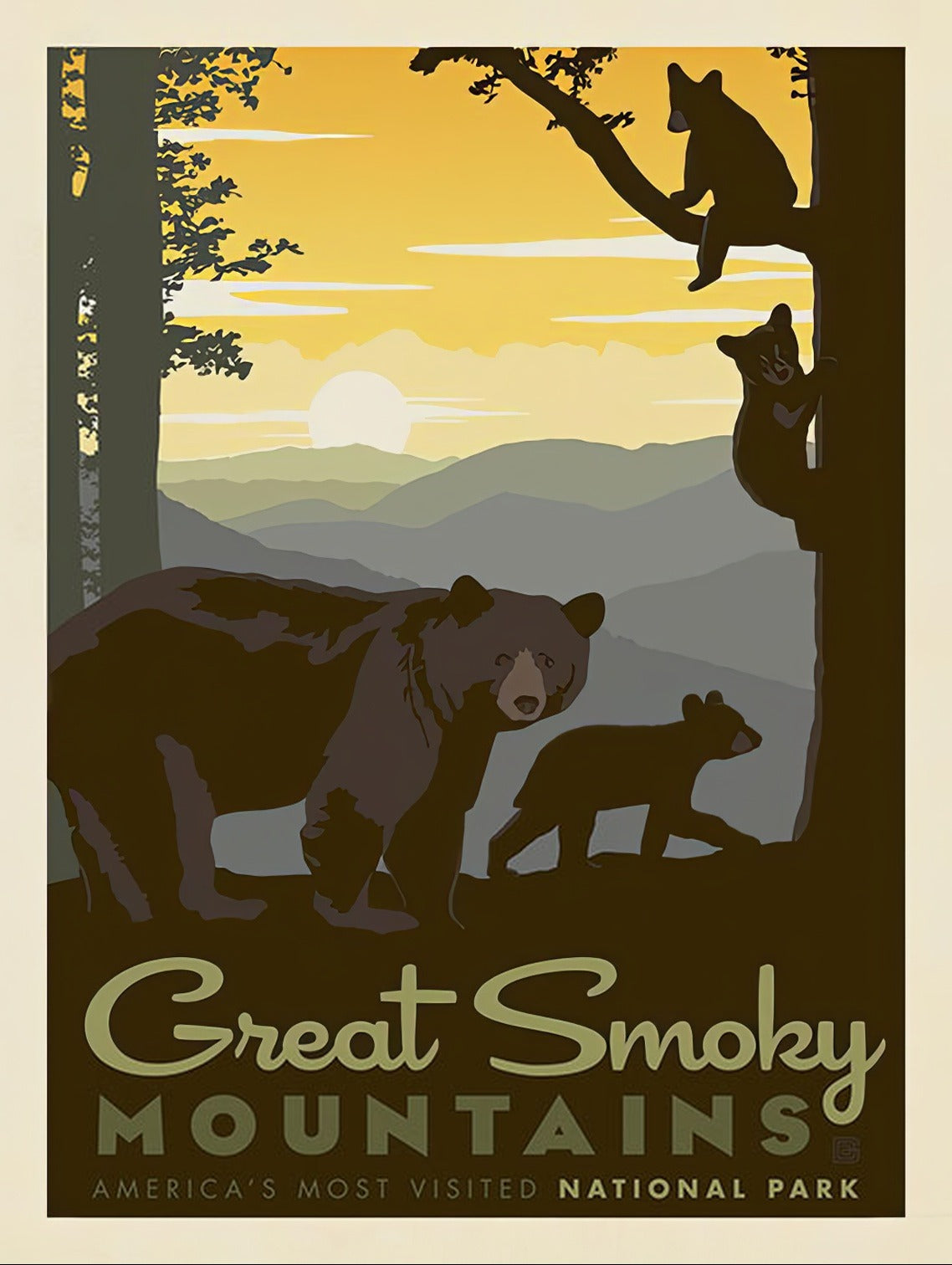 Great Smoky Mountains Bear Family
