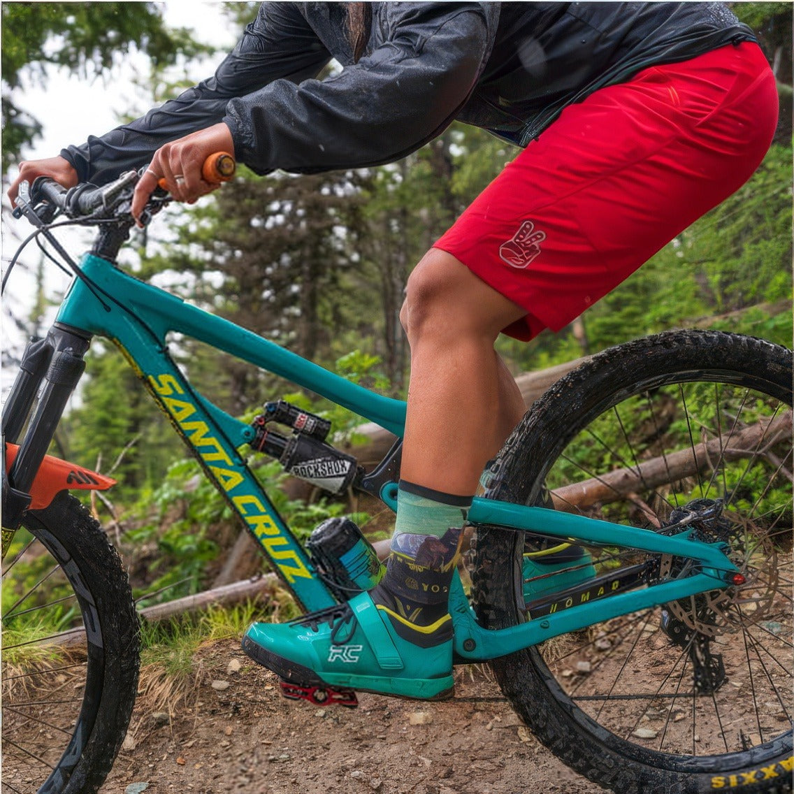 Swiftwick National Park Socks