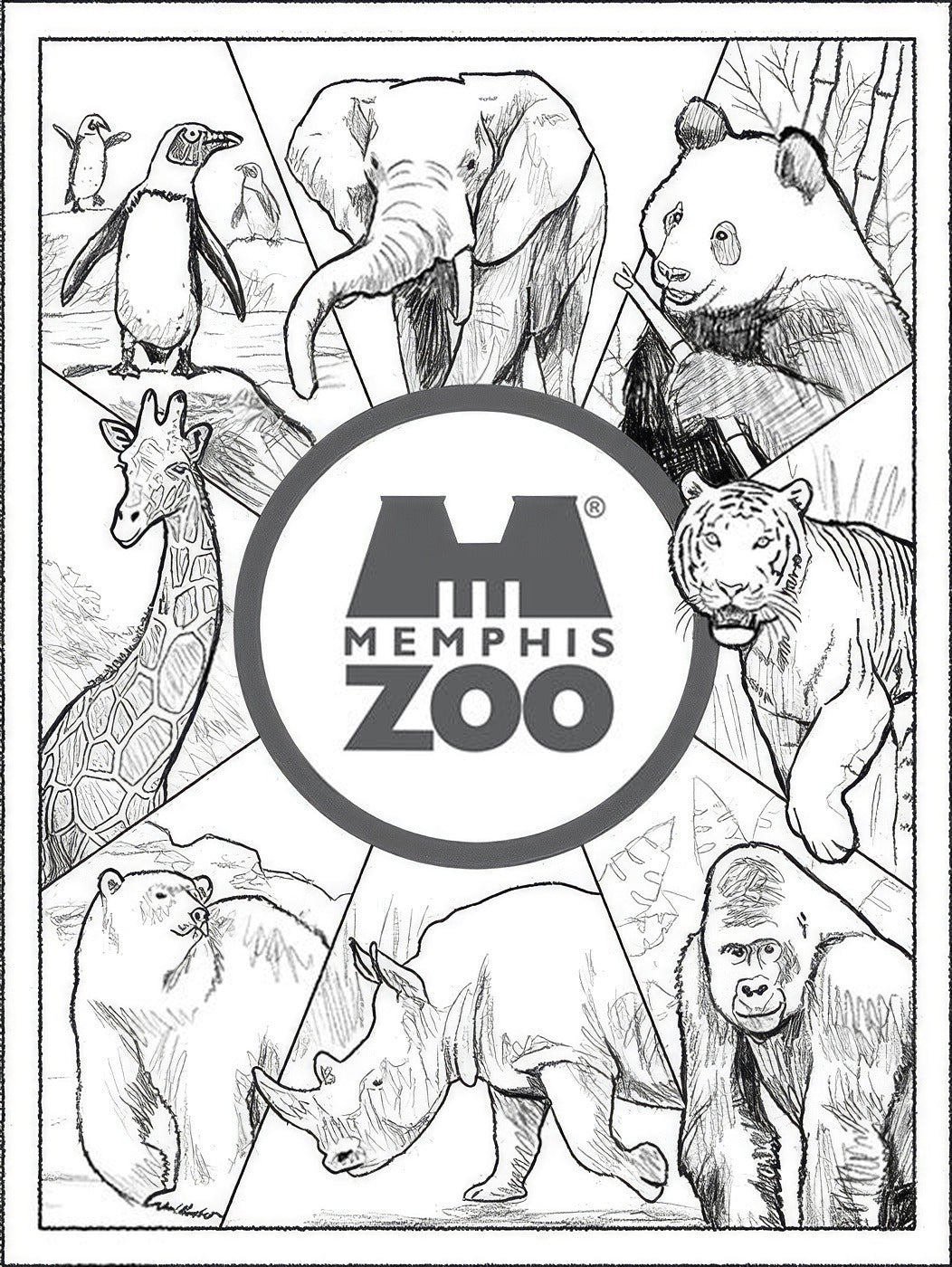 Memphis Zoo, Concepts