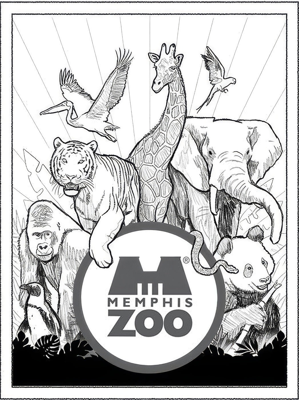 Memphis Zoo, Concepts