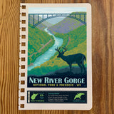 National Park Adventure Guide Book: 4-Park Insert Pages & Sticker Upgrade Set