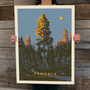 National Parks: Sequoia—Morning Glow (Best Seller)