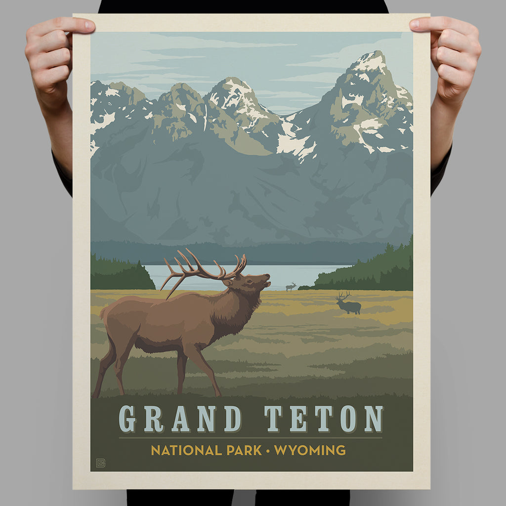 National Parks: Grand Teton-Elk Print (Best Seller)