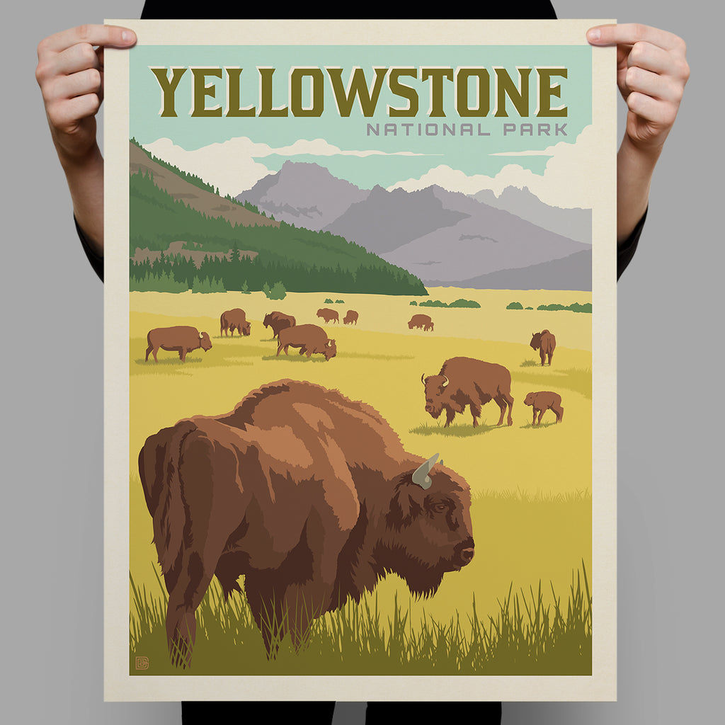 National Parks: Yellowstone-Bison (Best Seller)