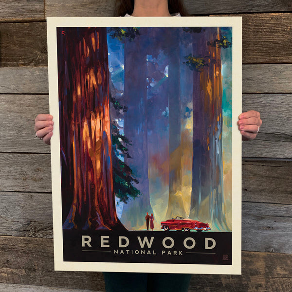National Parks: Redwood-Among The Giants (Best Seller)