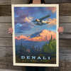 National Parks: Denali by David Owens (Best Seller)