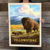 National Parks: Yellowstone by David Owens (Best Seller)