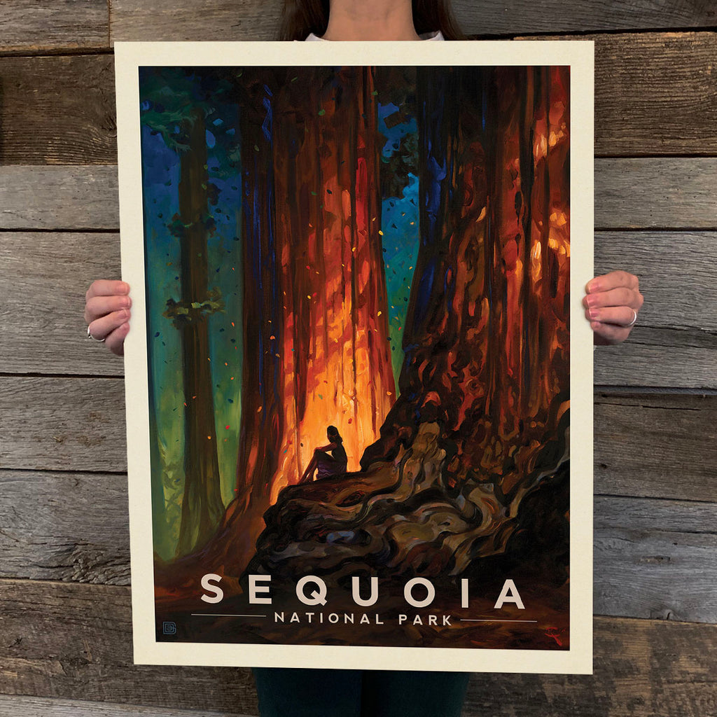 National Parks: Sequoia-Nature's Cathedral (Best Seller)