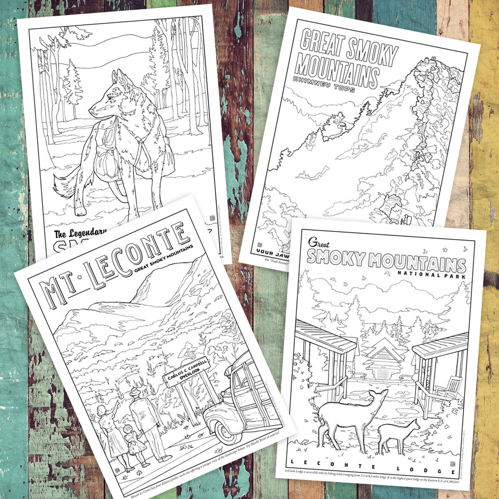 Great Smoky Mountains National Park: COLORING BOOK