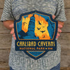 Metal Emblem Sign: NP Carlsbad Caverns National Park