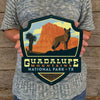 Metal Emblem Sign: NP Guadalupe Mountains National Park