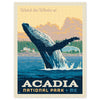 Acadia National Park (Whale Watching) 500 pieces Puzzle